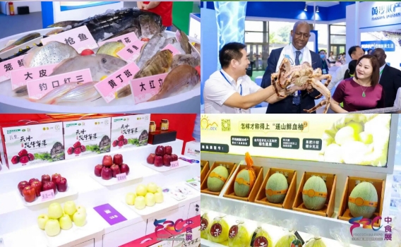 微信截圖_20242024中食展?(廣州)展會(huì)規(guī)模創(chuàng)新高！六展合一打造國際食品盛會(huì)！0103105256.png