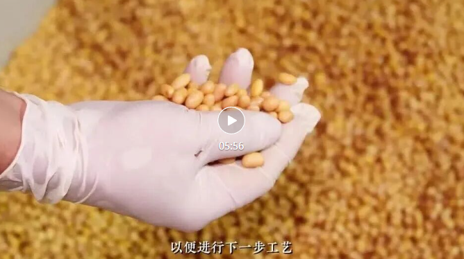 白云展團(tuán)集結(jié)亮相9月F2C中食展?(廣州)！百年老號(hào)、非遺技藝、日產(chǎn)百萬，產(chǎn)品遠(yuǎn)銷79國，8大品牌企業(yè)齊登場(chǎng)